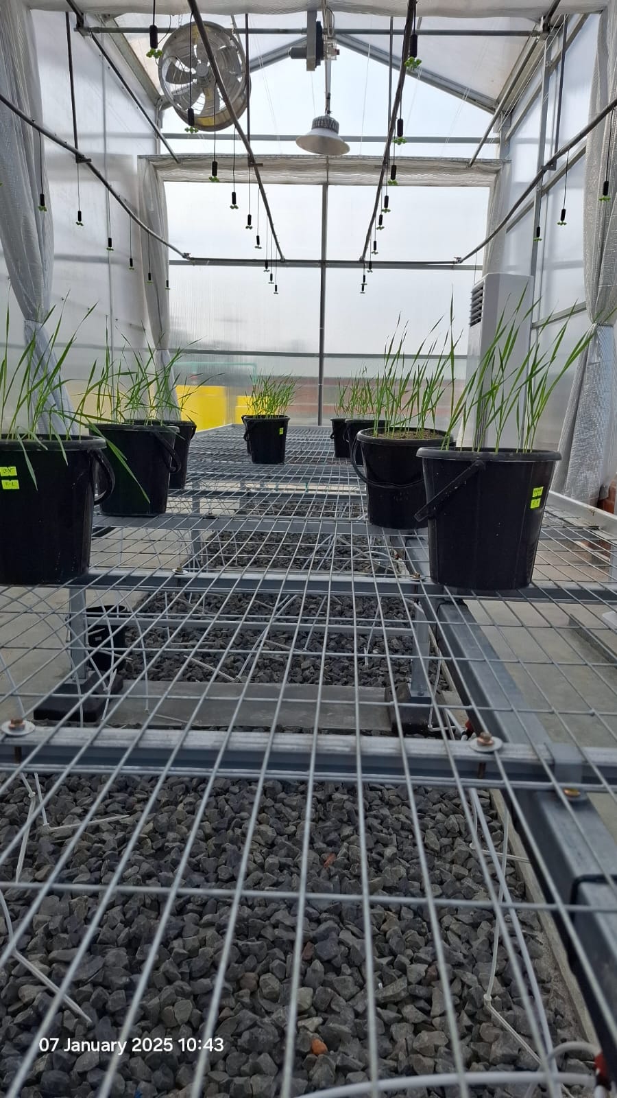 Agritech Automation